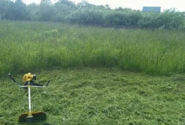 Покос травы в деревне